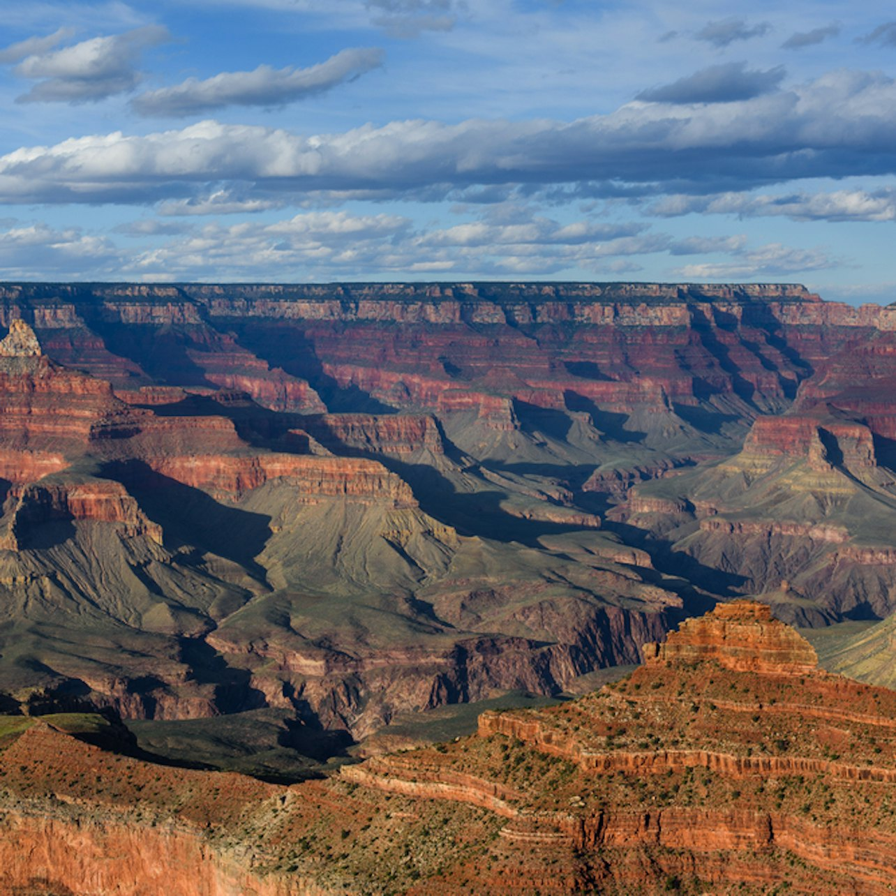 Grand Canyon National Park: South Rim Tour from Las Vegas - Photo 1 of 1